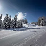 Ledererwirt