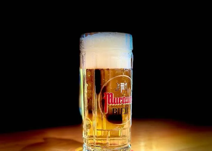 Ledererwirt 酒店 *