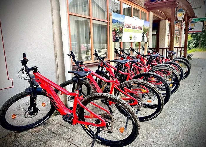 Ledererwirt 酒店 *